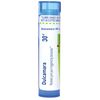 Boiron Dulcamara 30C Homeopathic Medicine for Joint Pain - 80 Pellets