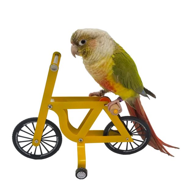 QBLEEV Bird Intelligence Training Toy，Parrot Puzzle Bicycle Toy for Small Medium Bird，Parrot Educational Table Top Trick Prop Toy，Bird Foot Talon Toy for African Grey Cockatoo Eclectus Conures