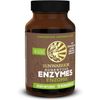 Sunwarrior Enzorb Plant-Based Vegan Digestive Enzymes Spore Based Probiotic 90ct