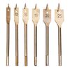 Amtech F1425 6 Piece Titanium Flat Wood bit Set