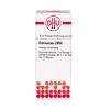 Echinacea HAB LM VI DHU Dilution, 10 ml Lösung
