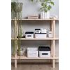 SmartStore - Compact Box M - Medium - Transparent