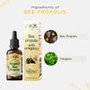 Bee Propolis with Oregano - Concentrated extract - 20ml - High strength