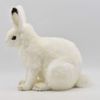 bh7851 hansa polar rabbit 30