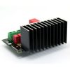 WP-AMP1875 Mono Power Amplifier Board Finished Product
