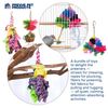 Prevue Pet Products Preen & Pacify 3 Piece Bird Toy Bundle