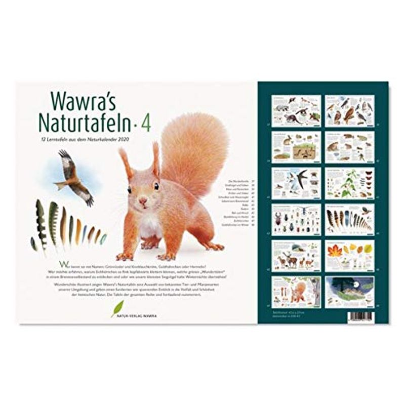 Wawra 's Natural Charts Set of 4 - with 12 A3 Learning Boards for ...