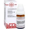 Ammonium carbonicum C30 DHU Globuli, 10 g Globuli