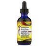 Body Ecology Ancient Earth Liquid Minerals | 100% Plant-Derived Trace Mineral Liquid Supplement | Fast-Absorbing Electrolyte Solution for Immune Support | 60 Servings (2 fl oz)