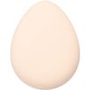 Glow Makeup Sponge