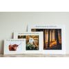 Red Deer Photograph, Stag Print, Bradgate Park Landscape