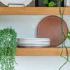 Everything Kitchens Modern Flat 11" Dinner Plates (Set of 4) | Soft Pink
