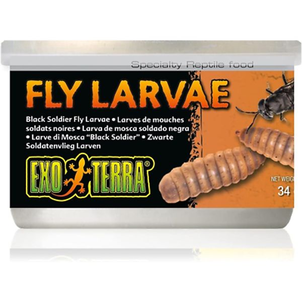 Exo Terra Specialty Reptile Food, Canned Black Soldier Fly Larvae for Reptiles