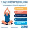 Maca Root Extract, Help Ease Stress, Ease Symptoms of Menopause, Improve Mood