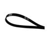 R066028 Serpentine Belt (5.7L).