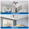 8-Pack Ceiling Fan Light Bulbs, 40W Equivalent, 5000K Daylight, A15 LED Bulb