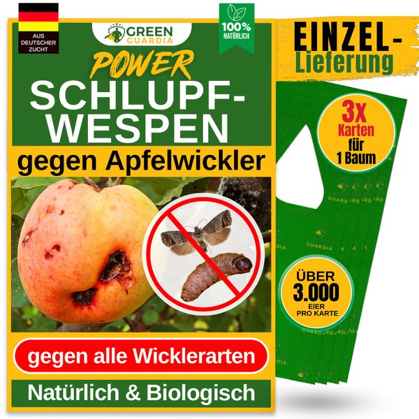 GREEN GUARDIA Ichneumon Wasps Against Codling Moth – 3 Cards of 1 Delivery – Effective Organic Control Against Codling Moth Trap, Alternative to Codling Moth Trap, Sprays, Nematodes & Pheromone Traps