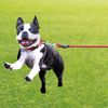 Petio Dog Drawstring Porta Training Long Leash 15m