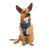 Reddy Canvas Dog Harness Navy XX-Large/3X-Large