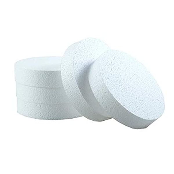 Craft Foam Circle Disc, 12 Pcs 2"Dx1"H