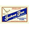 CafePress Joshua Tree (Road Runner) Rectangle Sticker Rectangle Bumper Sticker Car Decal