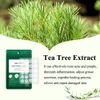 Acne Pimple Patch (66Count), BREYLEE Tea Tree Oil Pimple Patch Acne Pimple Healing Patch Zit Patch Acne Patch Hydrocolloid Patch, 10mm+12mm
