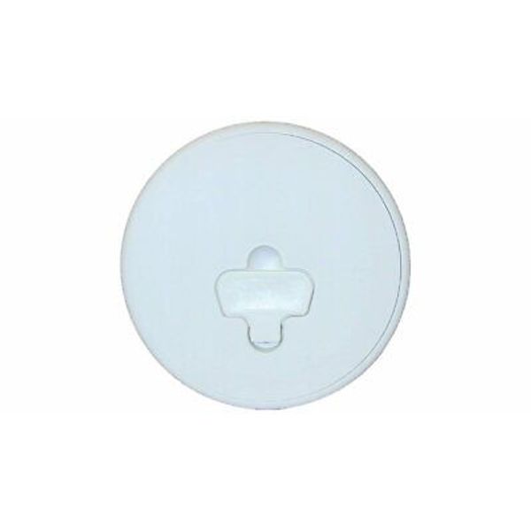 CAM LOCK DECK PLATE 8" WHITE