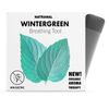 Natural Flavored Oxygen Air: Smoke-Free Alternative | 1 Pack