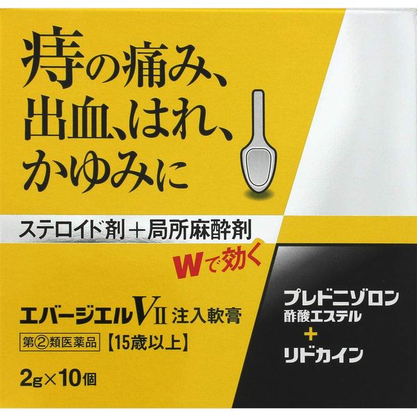 【指定第2類医薬品】エバージエルVII注入軟膏 2g×10 ×2