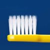 CI 800 Slim/Ultra Taper + Flat Hair/Medium Line/1 Books