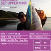 DAIWA Minnow/Lure SLZ Set Upper 125SDR-LI LI Chart Back