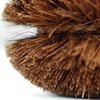 Turtle Baby Clean For Scrubber, Jerusalem Scrubber, Extra Female No4 (3 # # # # Type)