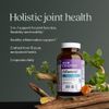 New Chapter Zyflamend™ Multi-Herbal Pain Reliever+ Joint Supplement, 10-in-1 Superfood Blend with Ginger & Turmeric for Healthy Inflammation Response & Herbal Pain Relief+, 60 Count