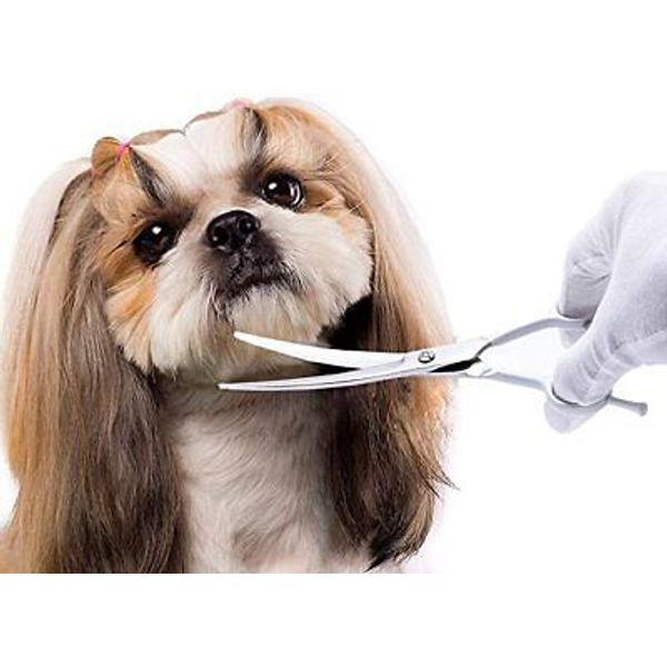 LovinPet Dog Cat Pet Grooming Scissors Curved Shears Trimmer Clippers Supplies