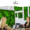 Moosbild Wandbild mit Moos, Moosplatte, versch. Maße (100% Flachmoos)