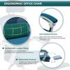 Swivel Mesh Office Chair Ergonomic with Adjustable High Back and Lumbar Support