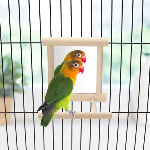 Wontee Bird Mirror with Perch Bird Toys for Parrots Budgies Parakeets Cockatiels Lovebirds Finches Canaries