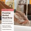Moon Valley Herbal Foaming Hand Soap, Vegan (Candy Cane, Recyclable Bottle)