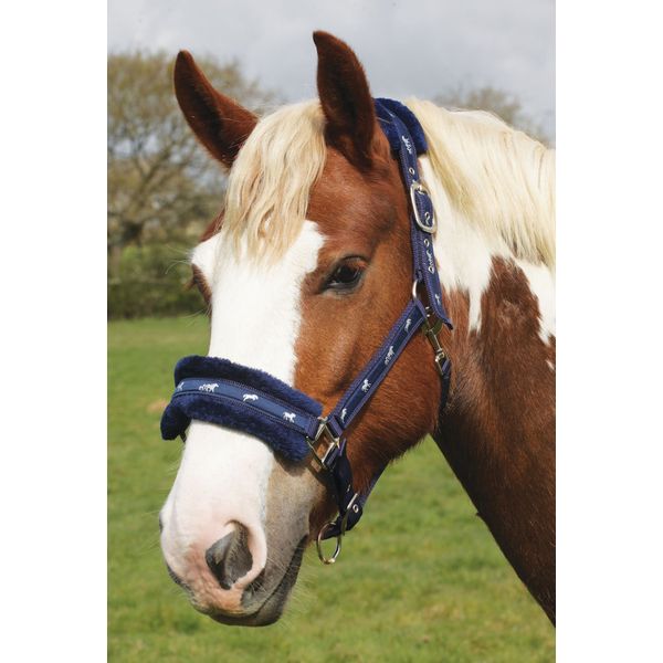 Rhinegold Logo Headcollar fleece trim - Shet - Blue