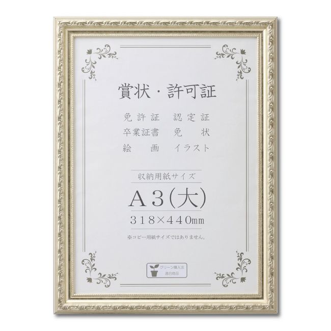 Daisen J602B3401 Picture Frame Award Frame A3 Large Shrink Pack