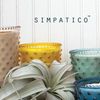 Simpatico No. 17 Fern Hobnail Candle, Crisp Mayapple with Fresh Moss & White Cedar, Pressed Hobnail Glass Jar, 100-Hour Burn Time, Scented Candles for Home, 16 oz