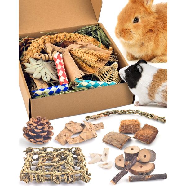 Bissap Rabbit Chew Toy, Natural Bunny Treats Snacks with Timothy Hay ...
