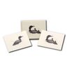 Earth Sky + Water - Loon Assortment Notecard Set - 8 Blank Cards with Envelopes (4 each of 2 styles)