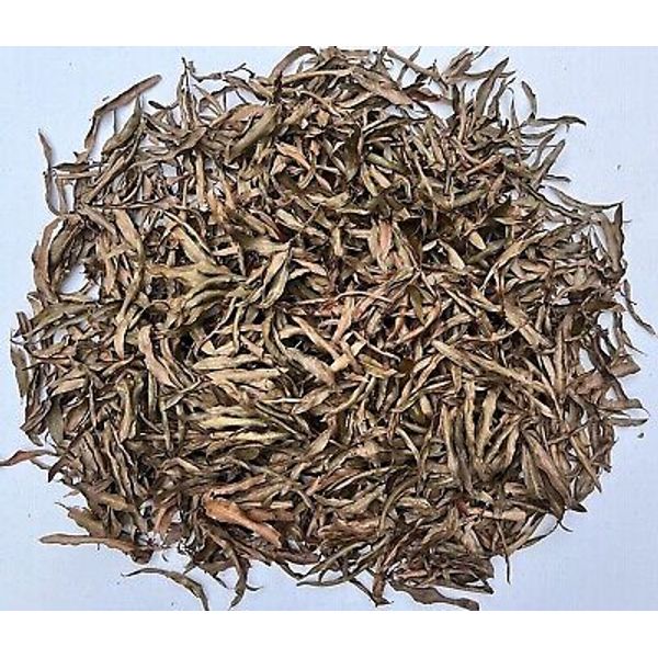 1 Gallon Organic Willow Oak Leaf Litter Leaves Pet Reptile Terrarium Isopod Frog