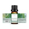 Elora 10ml Eucalyptus Essential Oil, 100% Pure & Natural