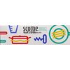 Scottie Kitchen Towel Box 75 Pairs x 2 Sets