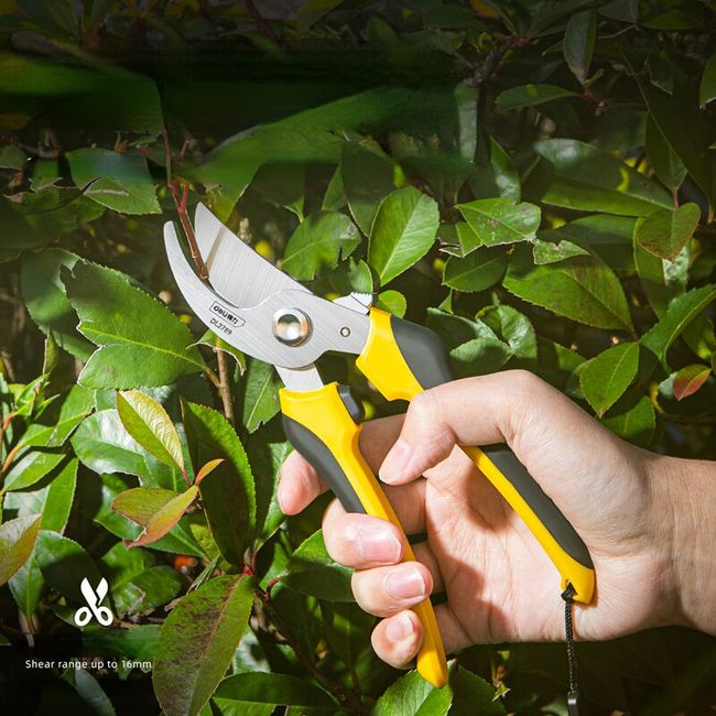 Gardening Scissors, Pruning Branches, Flower Pruner, Garden Shears