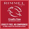 Rimmel London Match Perfection Concealer, 7ml