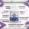 Ayushya Cissus Quadrangularis (Hadjod) Capsule, 60 Capsules, Natural