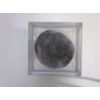 GONIATI an Authentic Mineral